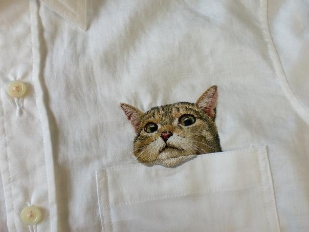 Рубашка с котом