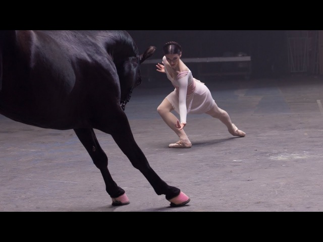 Танцы с конями в рекламе OPI
