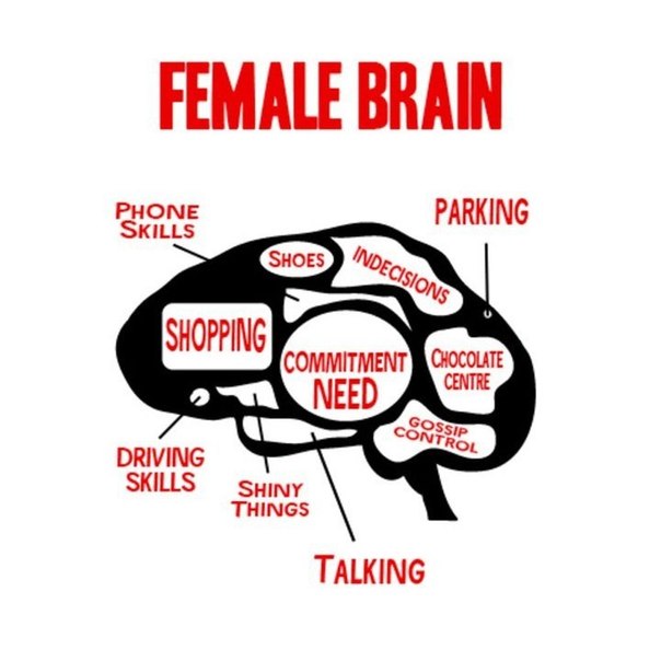 Мозг женщины против мозга мужчины
