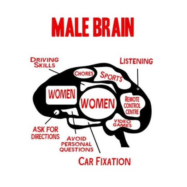Мозг женщины против мозга мужчины