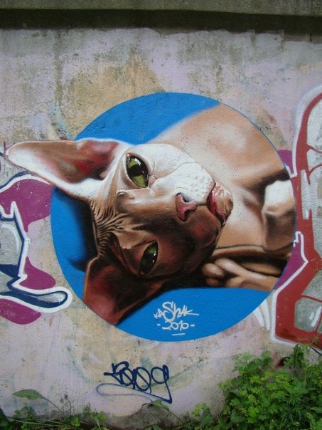 Стрит-арт от российского граффити-художника Kashak