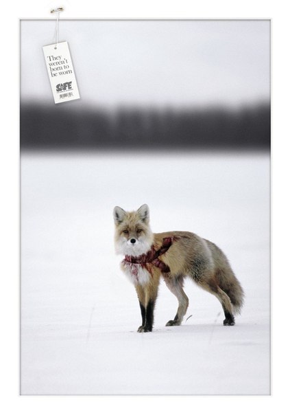 Социальная реклама фонда защиты животных SAFE: "Они родились не для того, чтобы их носили"