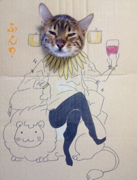 Любитель аниме из Китая решил поздравить свою кошку с днем рождения, устроив ей тематическую фотосессию