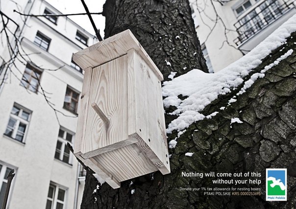 Реклама польского общества охраны птиц Ptaki Polskie: "Никто не вылетит отсюда без твоей помощи"