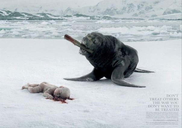 Социальная реклама против убийства животных: "Не поступайте так, как не хотите чтобы поступали с Вами"