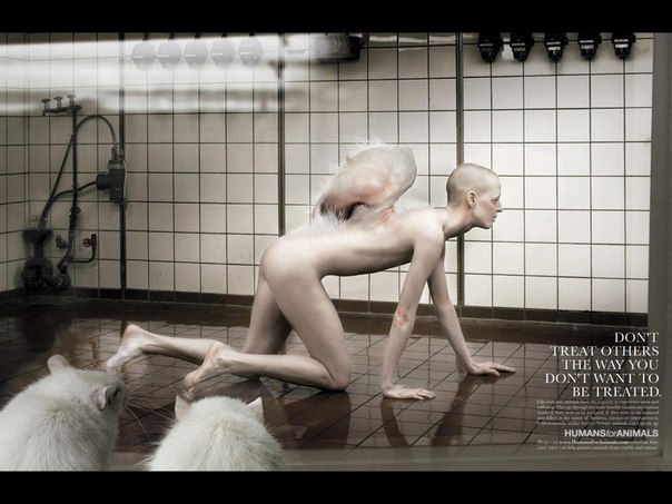 Социальная реклама против убийства животных: "Не поступайте так, как не хотите чтобы поступали с Вами"