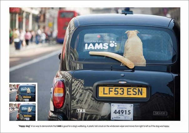 Реклама корма для собак IAMS на лондонском такси