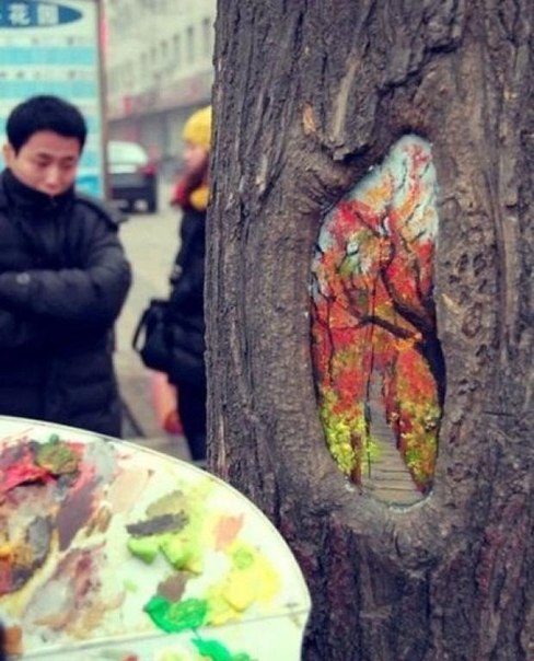Wang Yu из Китая рисует замечательные картины в дуплах деревьев