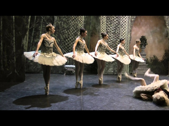 Harlem Shake в рекламе консервативной английской национальной балетной школы