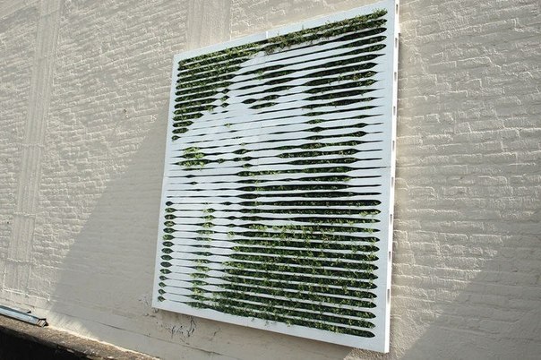 Экологически чистый Street Art