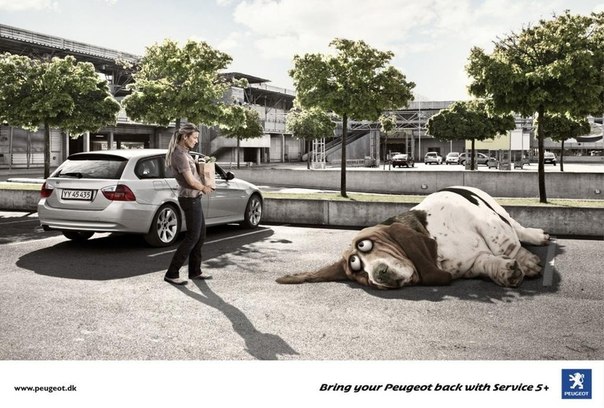 Не превращайте свой Peugeot в ленивое животное