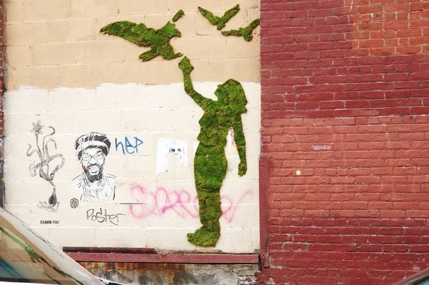 Подборка удивительных граффити из мха от художницы Mosstika