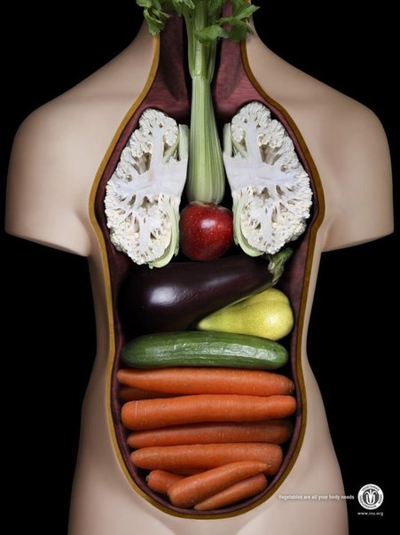 International Vegetarian Union: "Овощи это то, что нужно вашему телу"