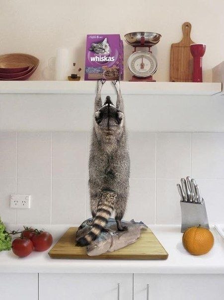 Корм Whiskas