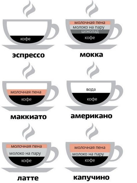 Кофе "в разрезе"