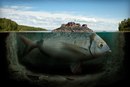 Профессиональный фотограф и ретушер из Швеции Эрик Йоханссон (Eric Johansson) живет и работает в Берлине. Вдохновляясь работами Сальвадора Дали, Мориса Эшера и Роба Гонсалвеса, он создает удивительные картины. Его фотоманипуляции, созданные при помощи графического редактора из собственоручно сделанных фотографий, заставляют шире смотреть на вещи и осознавать, что мир вокруг ограничен лишь рамками нашей фантазии.