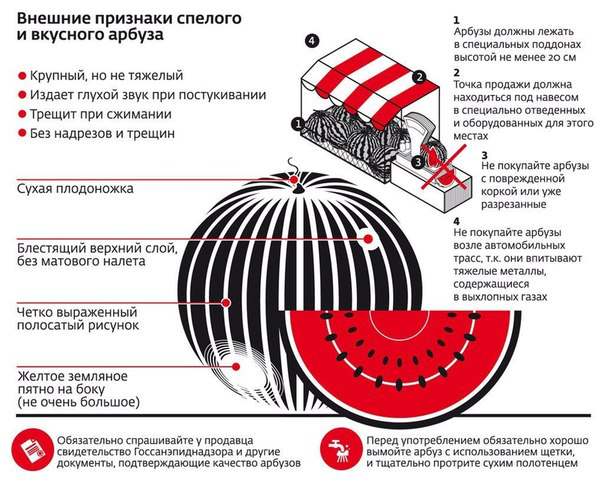 Инструкция при покупке арбуза