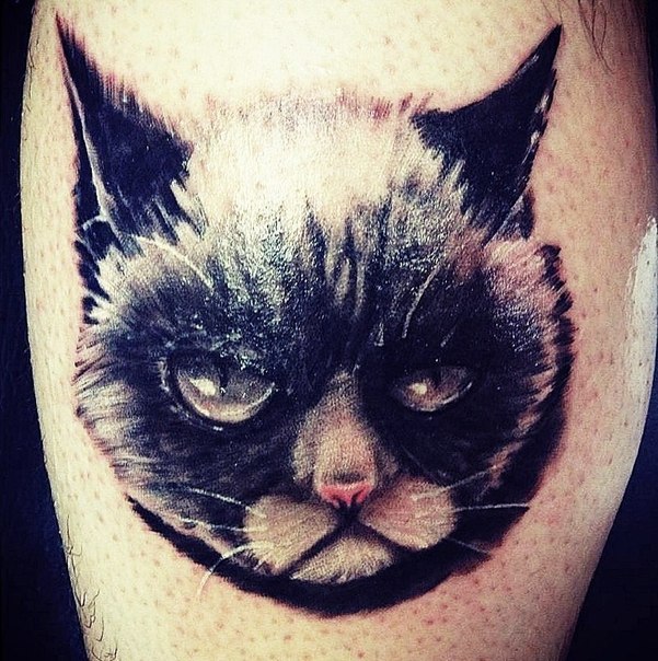 Татуировки со знаменитой Grumpy Cat