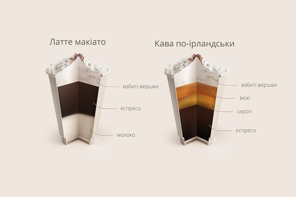 Кофейная инфографика