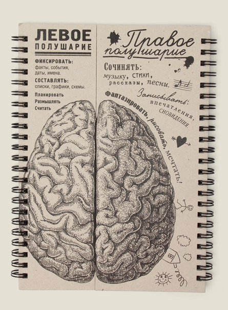 Блокнот-мозг. Блокнот для работы и творчества, но больше для творчества, т.к. правое полушарие блокнота больше.