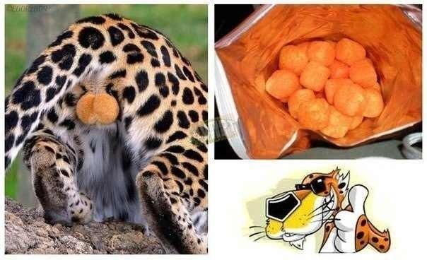 Cheetos