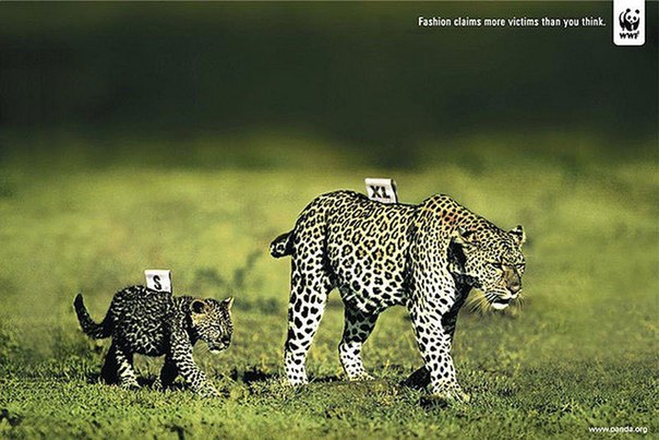 Подборка рекламы WWF