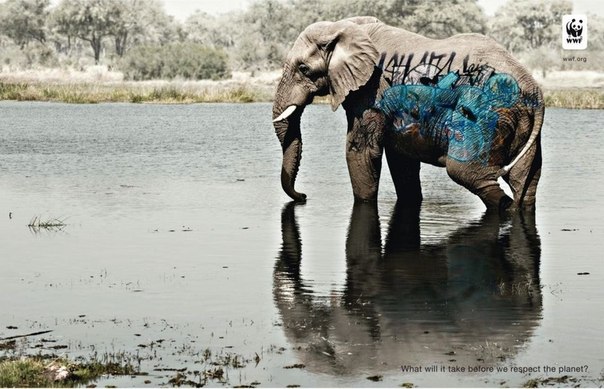 Подборка рекламы WWF