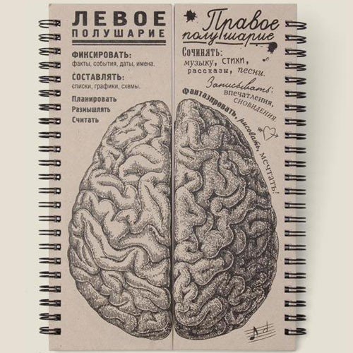 Блокнот-"мозг". Блокнот для работы и творчества, но больше для творчества, т.к. правое полушарие блокнота больше.