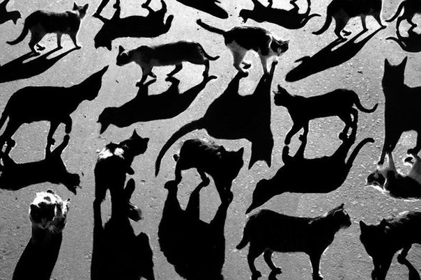 «Борьба тени и света» - подборка монохромных работ от фотохудожника Alexey Bednij
