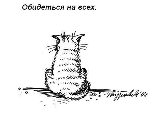 Кодекс поведения котов