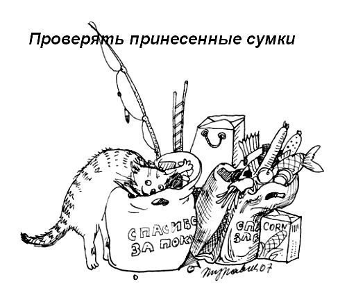 Кодекс поведения котов